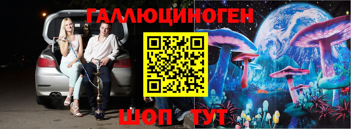 Псилоцибиновые грибы Psilocybe Азов