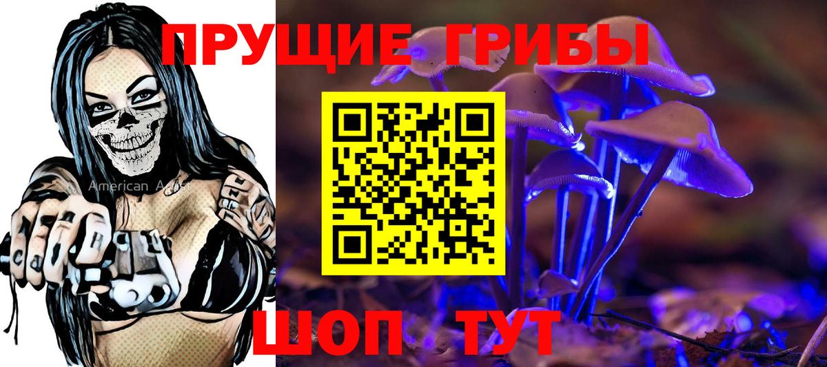 Азов  Псилоцибиновые грибы GOLDEN TEACHER  Псилоцибиновые грибы Psilocybe  Вход с VPN 